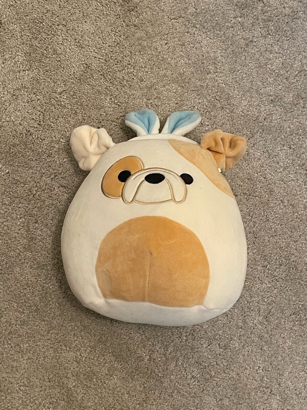NWT Brock the Bulldog Squishmallow